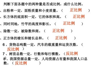 比例复习课教案