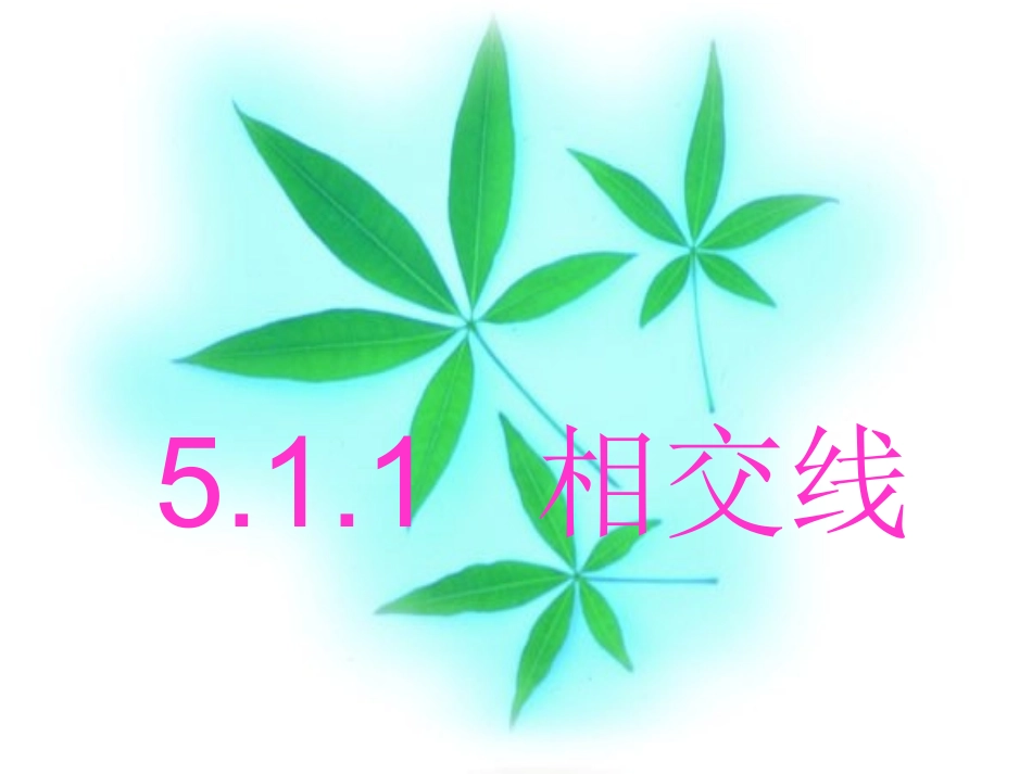 相交线与平行线.1.1相交线_第1页