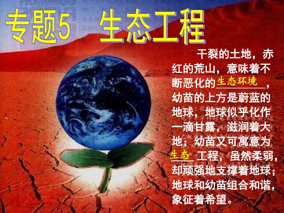 生态工程的原理_第1页