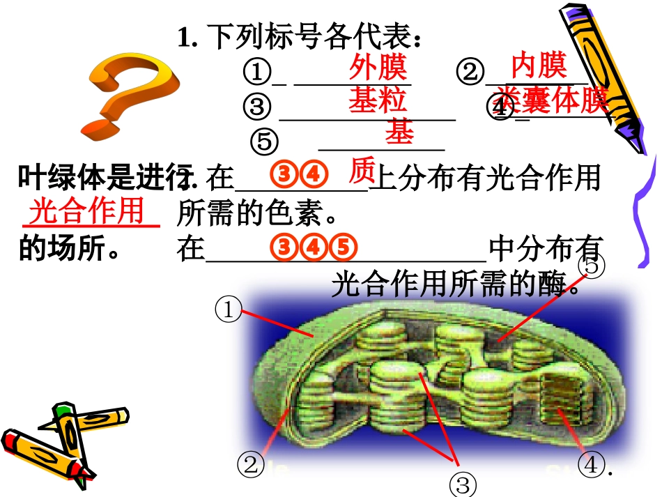 高一生物：4.2《光合作用的过程》课件(5)(沪科版第一册)_第3页