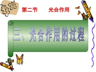 高一生物：4.2《光合作用的过程》课件(5)(沪科版第一册)