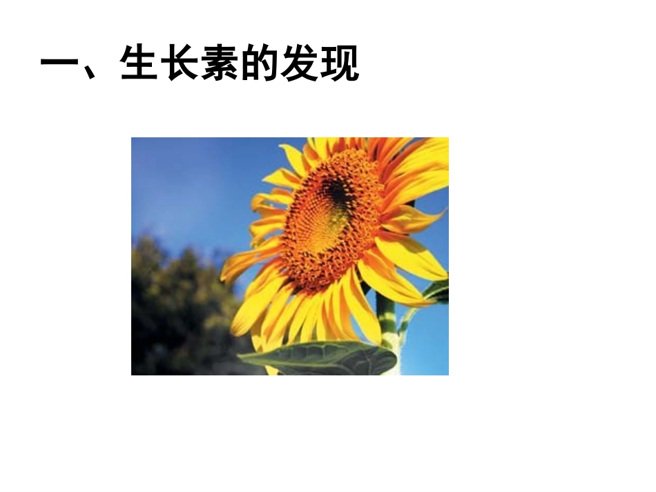 第一节植物激素调节-(3)_第2页