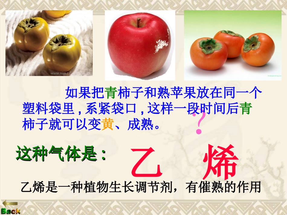 石油的炼制乙烯-(2)_第2页