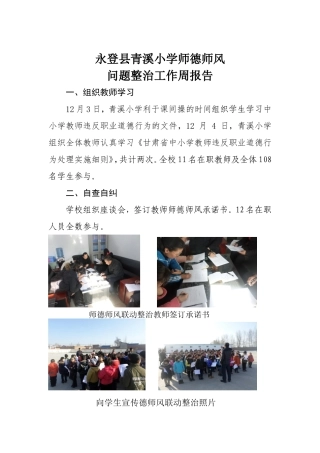 青溪小学师德师风整治报告