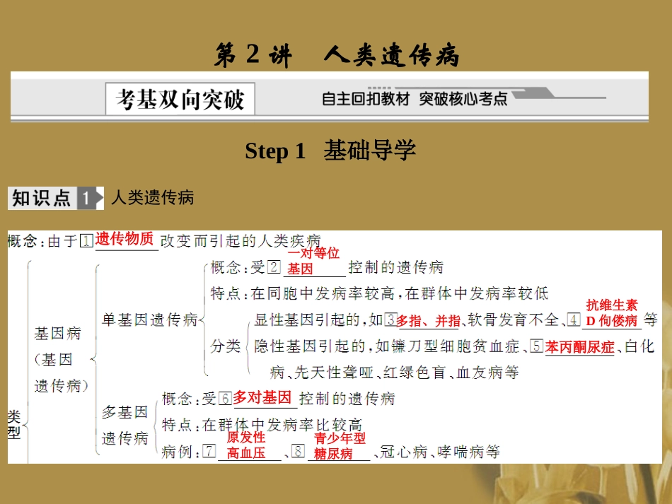 2012届高考生物-第2讲-人类遗传病总复习课件12-必修2_第1页