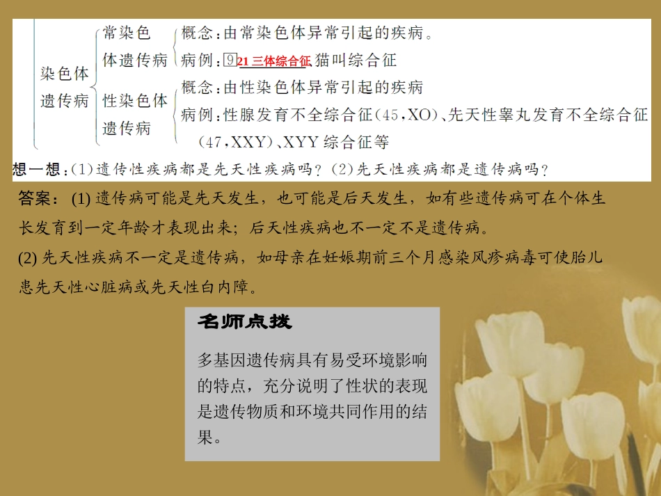 2012届高考生物-第2讲-人类遗传病总复习课件12-必修2_第2页