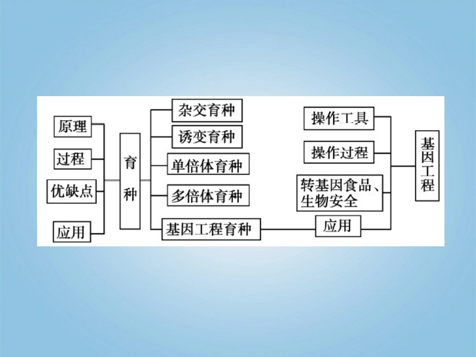 【立体设计】2012高考生物-第6章-从杂交育种到基因工程知识研习课件-新人教版必修2_第2页