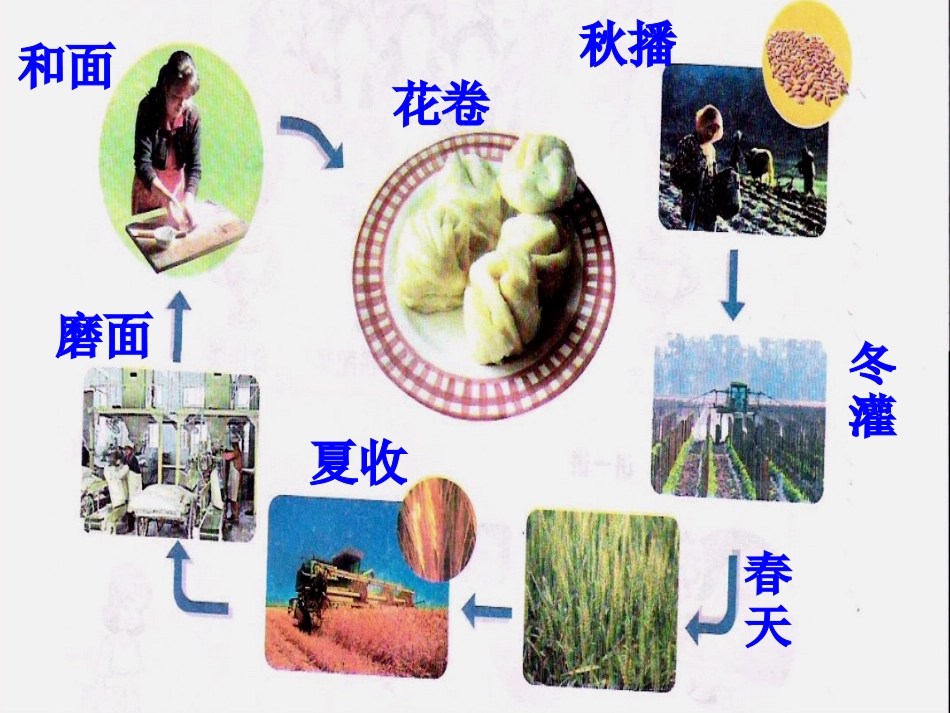 3食物从哪里来.ppt_第2页