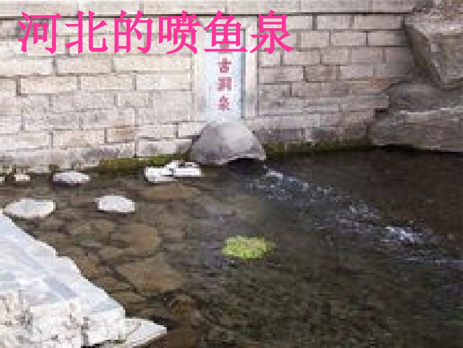 三年级下语文课件-珍珠泉_第2页