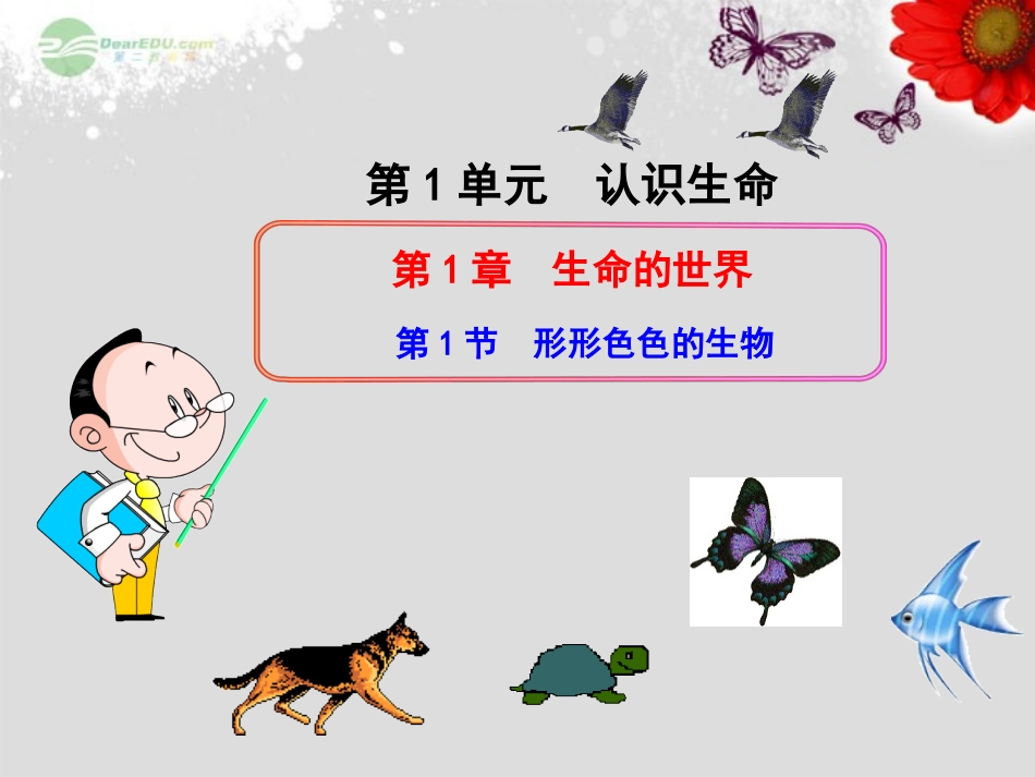 七年级生物上册-第1单元-认识生命-第1章-生命的世界-第1节-形形色色的生物课件-北师大版_第1页