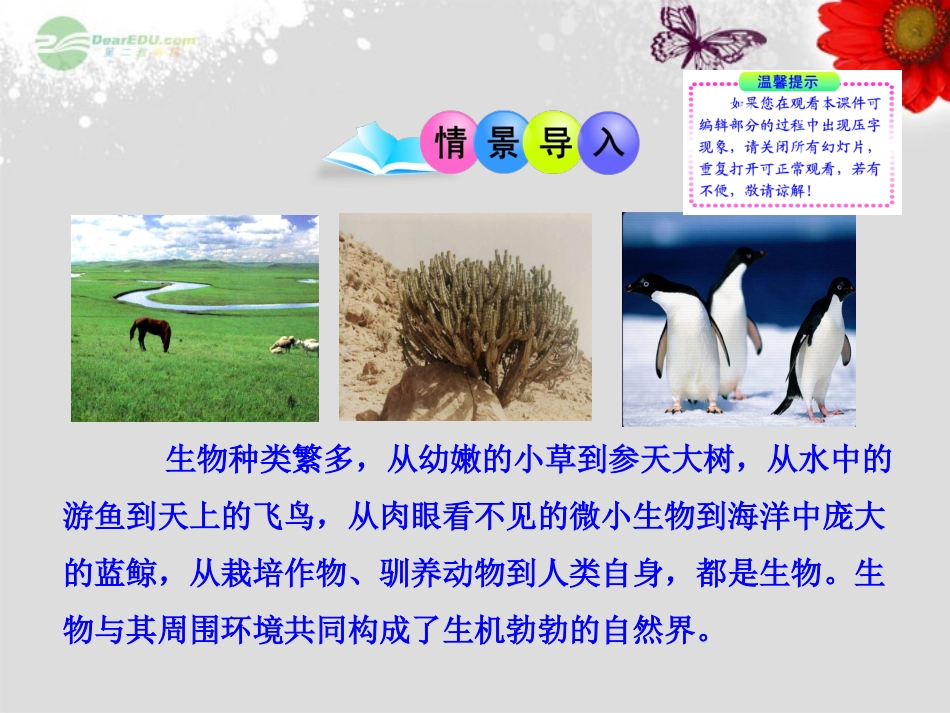 七年级生物上册-第1单元-认识生命-第1章-生命的世界-第1节-形形色色的生物课件-北师大版_第2页