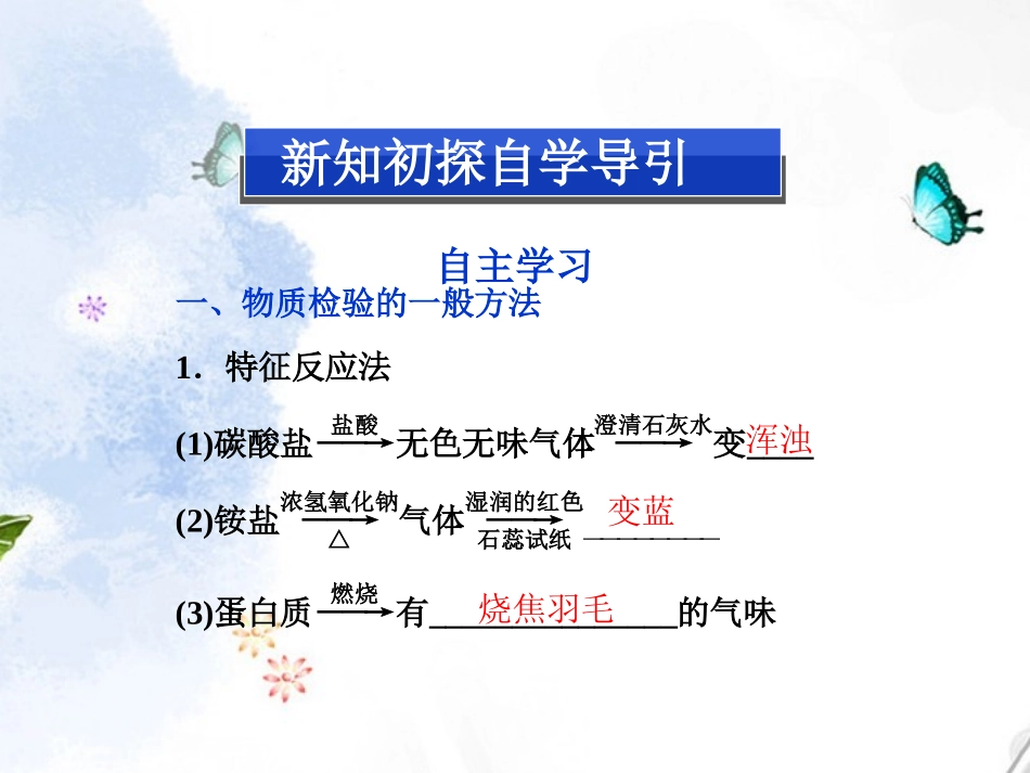 2013年高中化学-专题1-第二单元-第二课时常见物质的检验-苏教版必修1_第2页