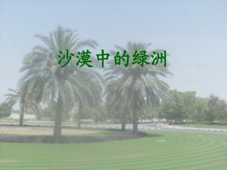 沙漠中的绿洲