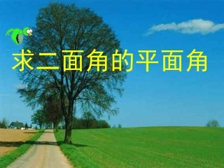 求二面角的平面角课件