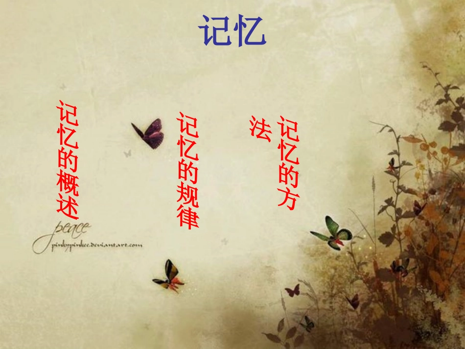 中学生学习心理健康辅导《提高记忆力的培养对策》优秀PPT多媒体课件_第2页