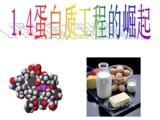 1.4-蛋白质工程的崛起-(2)