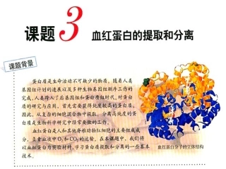 课题3-血红蛋白的提取和分离