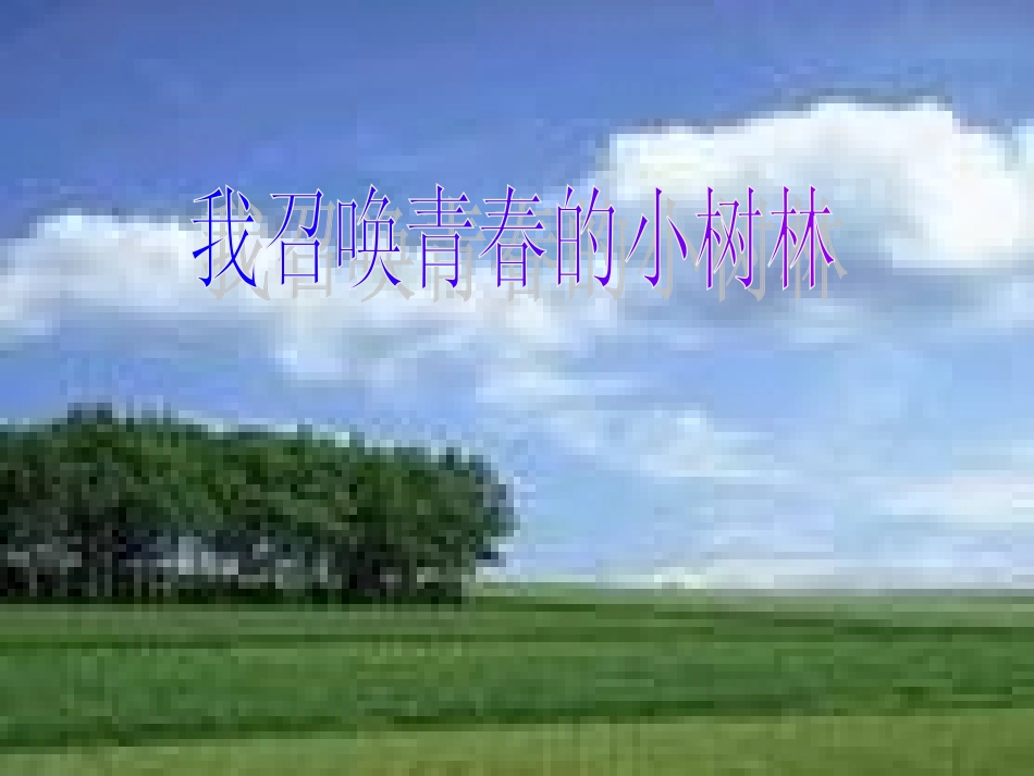 七年级语文下册-第24课《我召唤青春的小树林》课件-上海五四制版_第1页