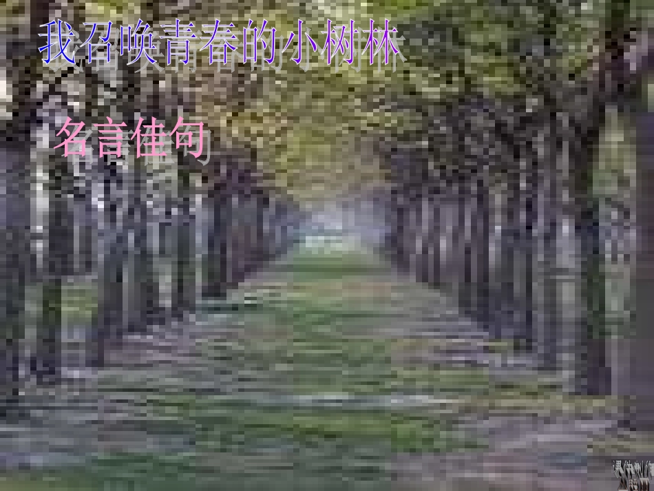 七年级语文下册-第24课《我召唤青春的小树林》课件-上海五四制版_第2页