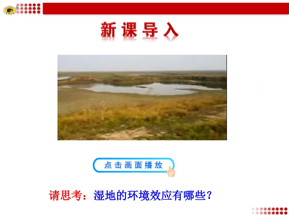 第二节--湿地资源的开发与保护——以洞庭湖区为例_第2页