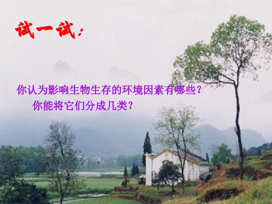 1、1、2环境影响生物的生存_第2页