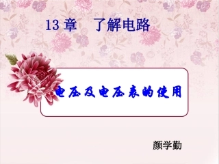 电压及电压表的使用