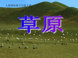 草原ppt课件5