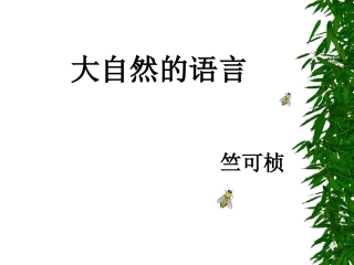 《大自然的语言》课件2