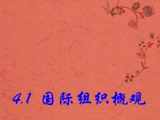 浙江省岱山县大衢中学高中政治-国家和国际组织常识-国际组织概观课件-新人教版选修3