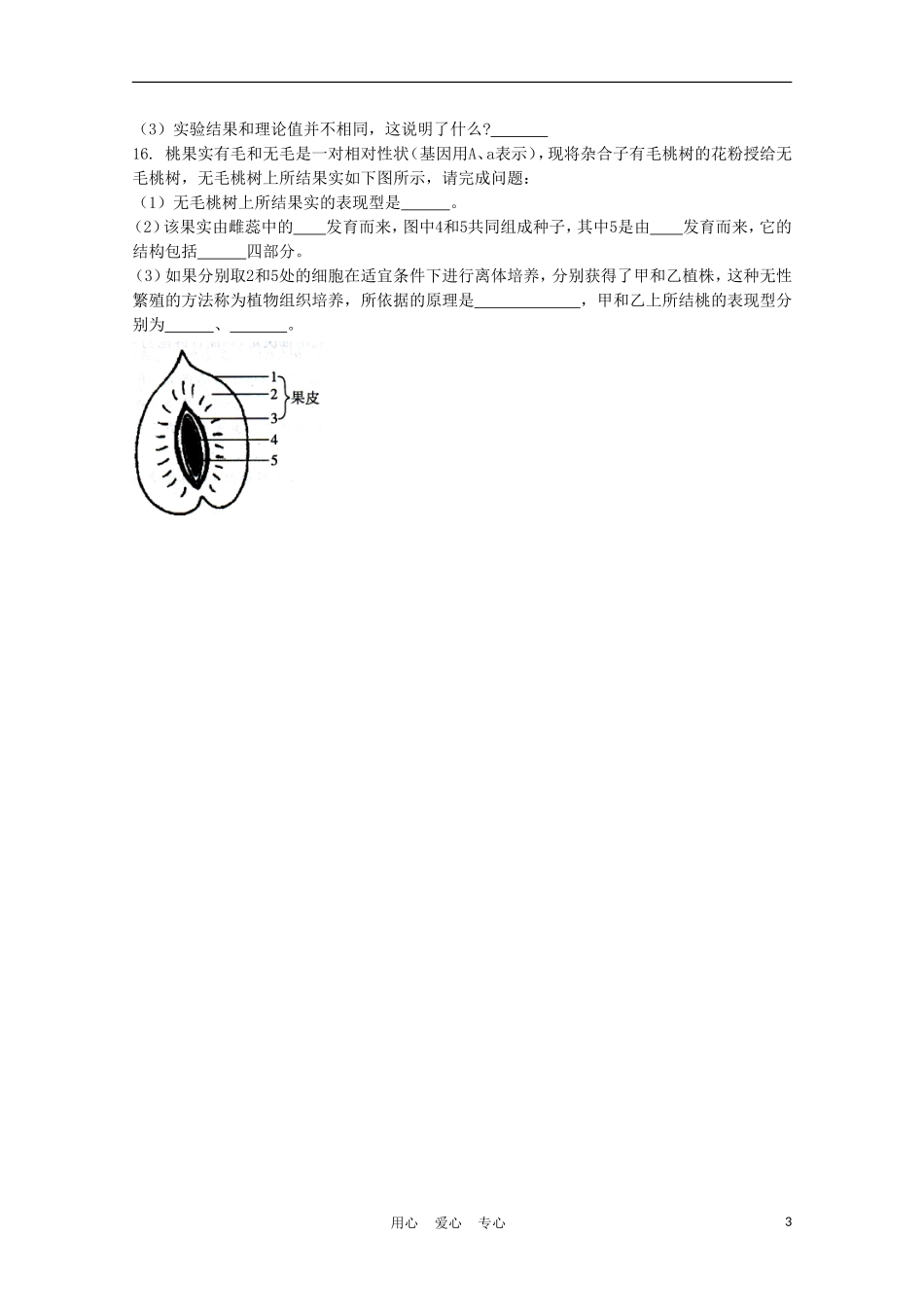 高中生物《基因的分离定律》同步练习2-苏教版必修2_第3页