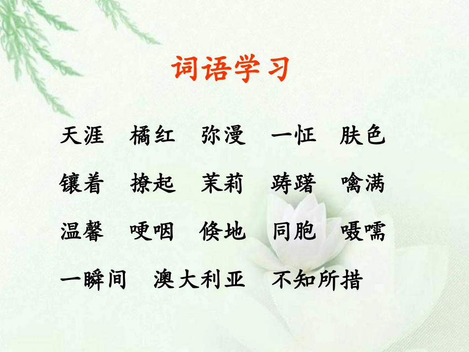 《天涯情思》课件1_第3页