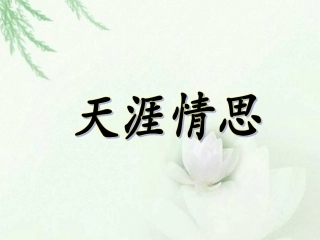 《天涯情思》课件1