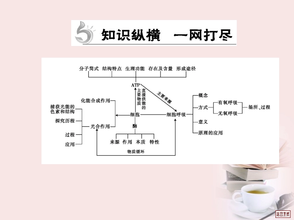 2012届高三生物二轮复习-第2专题-细胞的代谢课件_第2页