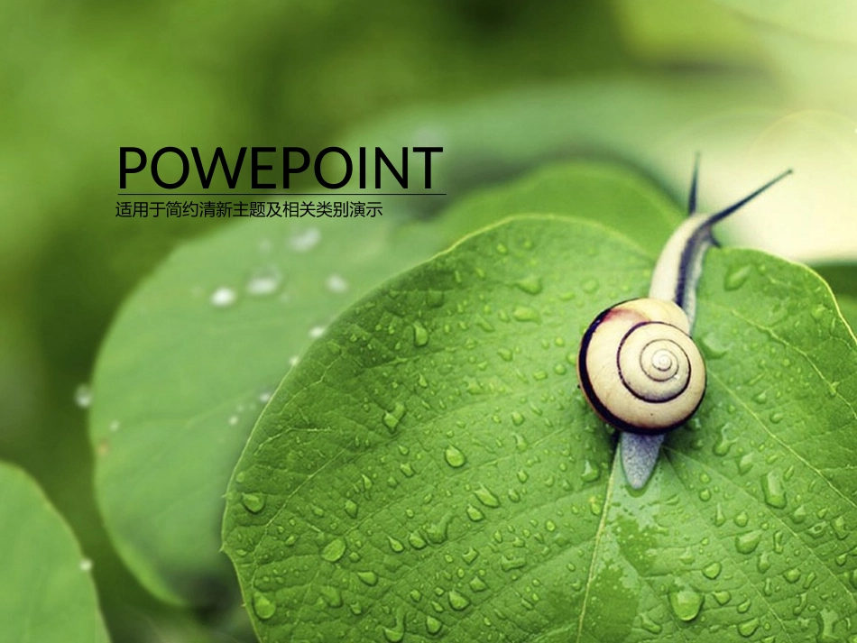 高清蜗牛露珠绿叶小清新ppt自然模板_第1页