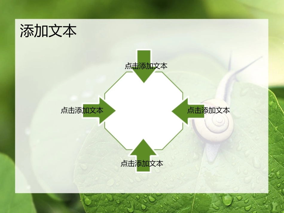 高清蜗牛露珠绿叶小清新ppt自然模板_第3页