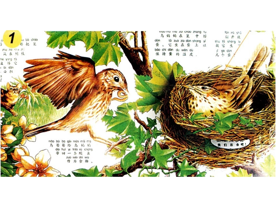 《哪里藏》课件_第3页