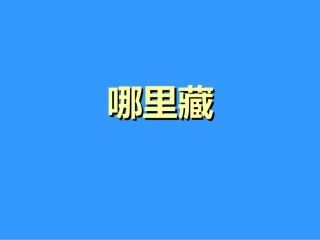 《哪里藏》课件