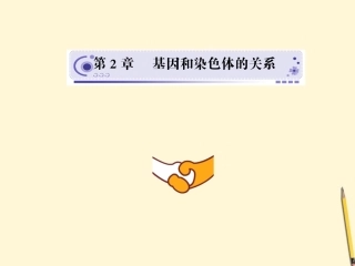 四川省成都市高考生物第二章课件1-新人教版必修2