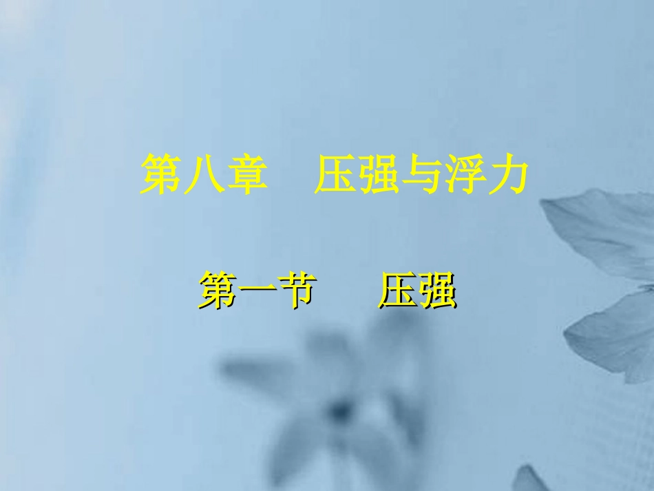 安徽省阜南县三塔中学八年级物理下册《8.1压强》课件1-北师大版_第2页