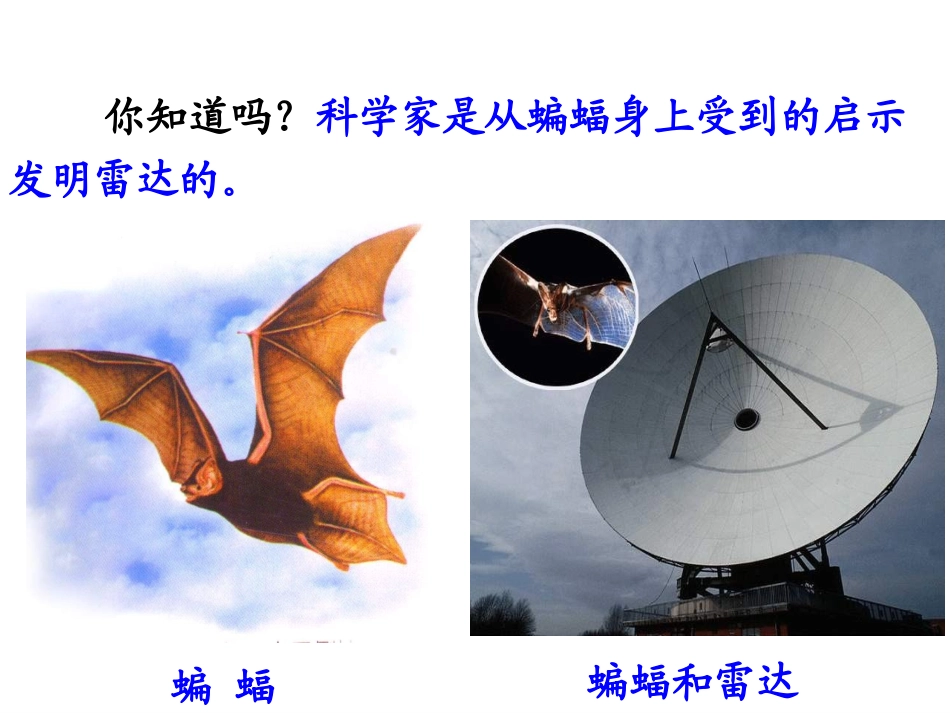 12夜晚的实验_第3页