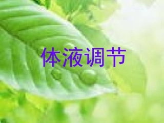 高中生物-《体液调节》课件旧人教版