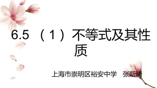 6.5不等式及其性质