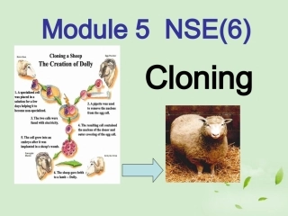 陕西省某二中高中英语-Module-5-Cloning(1)课件-外研版选修6