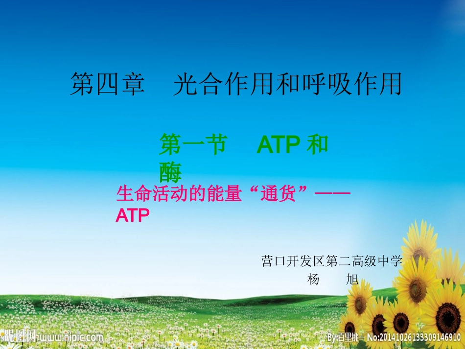生命活动的能量“通货”——ATP-(2)_第1页