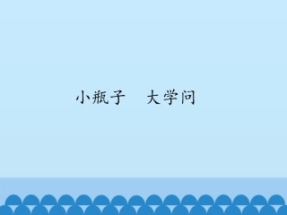 11小瓶子大学问