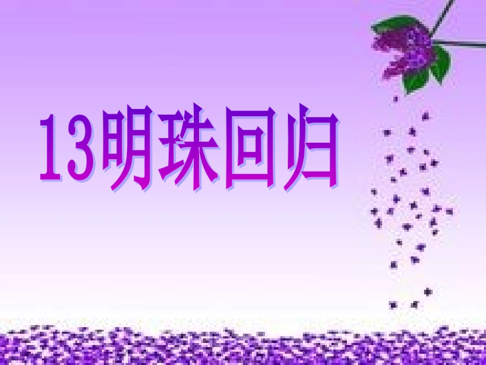 13明珠回归(1)_第1页