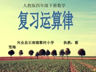 小学数学2011版本小学四年级复习运算定律的应用