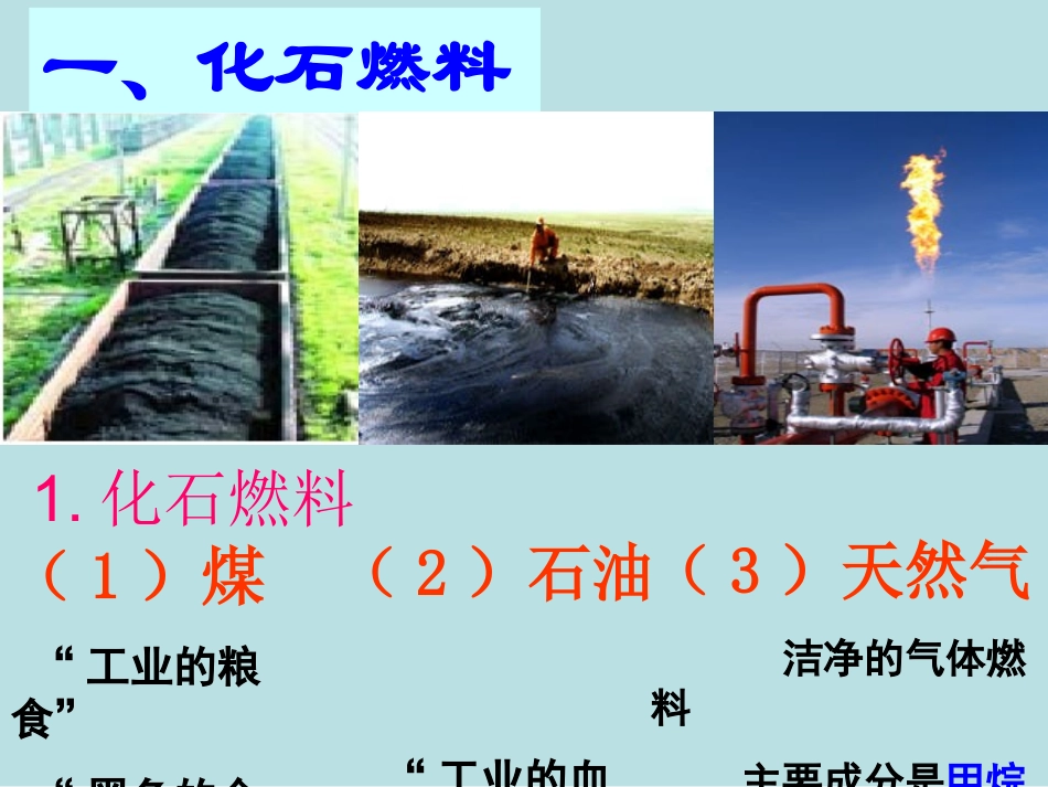 5.4古生物的“遗产”——化石燃料_第2页