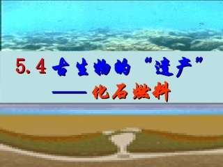 5.4古生物的“遗产”——化石燃料