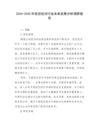 2024-2025年低空经济行业未来发展分析调研报告